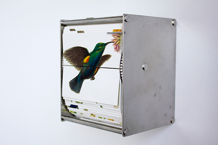 FeatureJuanFontanive004